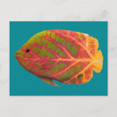 Tropische vis van het esp briefkaart (Voorkant)