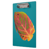 Tropische vis van het esp klembord (Links)