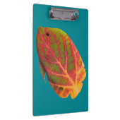 Tropische vis van het esp klembord (Rechts)