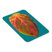 Tropische vis van het esp magneet (Rechterzijde)