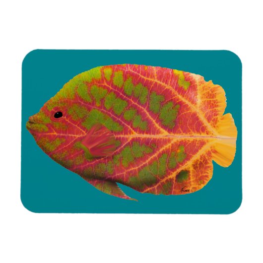 Tropische vis van het esp magneet (Horizontaal)