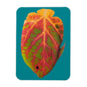 Tropische vis van het esp magneet (Verticaal)