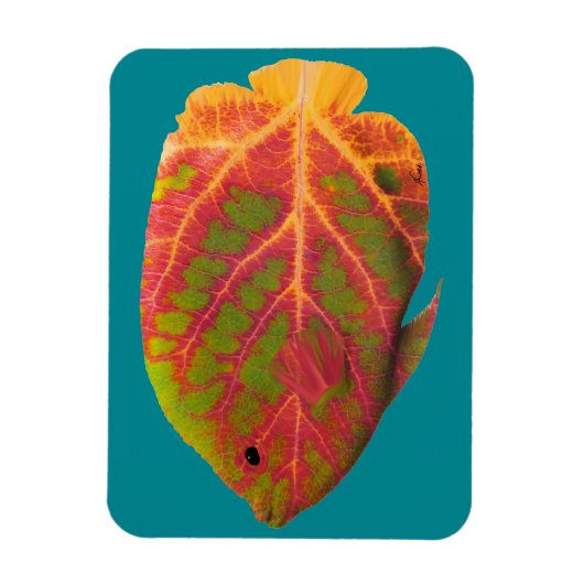 Tropische vis van het esp magneet (Verticaal)