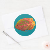 Tropische vis van het esp ronde sticker (Envelop)