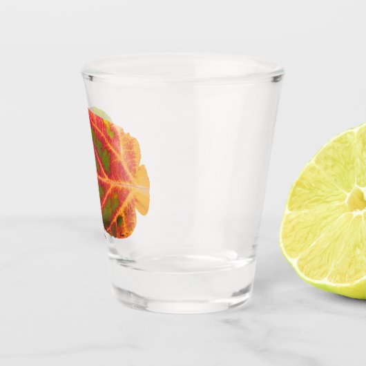 Tropische vis van het esp shot glas (Rechts)