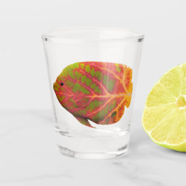 Tropische vis van het esp shot glas