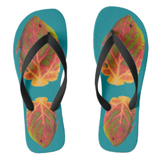 Tropische vis van het esp teenslippers