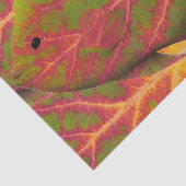 Tropische vis van het esp tissuepapier (Detail)