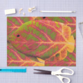 Tropische vis van het esp tissuepapier (Craft)