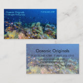 Tropische vis van het Visitekaartje van het koraal (Voorkant / Achterkant)