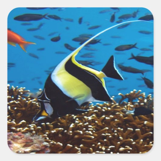 Tropische vis vierkante sticker (Voorkant)