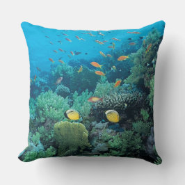 Tropische vis zwemt over rif kussen