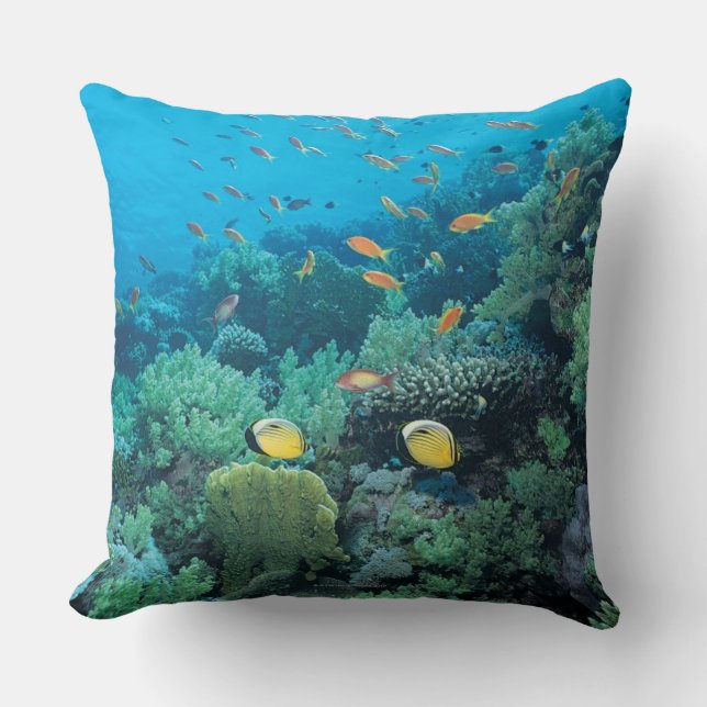 Tropische vis zwemt over rif kussen (Voorkant)