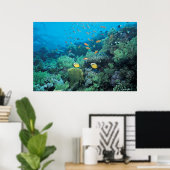 Tropische vis zwemt over rif poster (Thuiskantoor)
