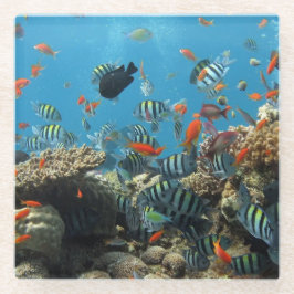 Tropische visChaos Glazen Onderzetter