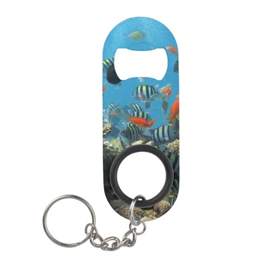 Tropische visChaos Mini Flessenopener (Voorkant)