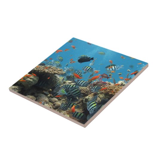 Tropische visChaos Tegeltje (Zijkant)