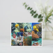 Tropische viscollage oceaankoraalduif zee briefkaart (Staand voorkant)