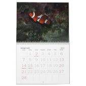 Tropische viskalender 2009 kalender (Feb 2027)