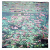  tropische viskeramische tegel tegeltje (Voorkant)