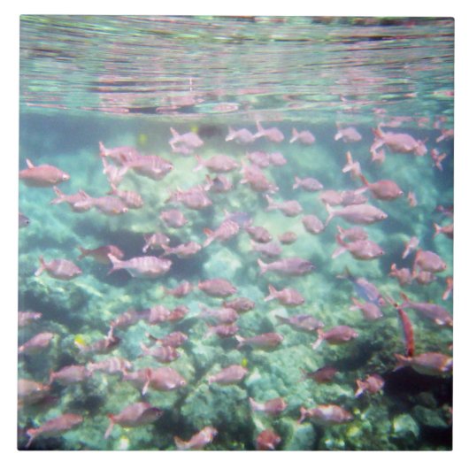  tropische viskeramische tegel tegeltje (Voorkant)