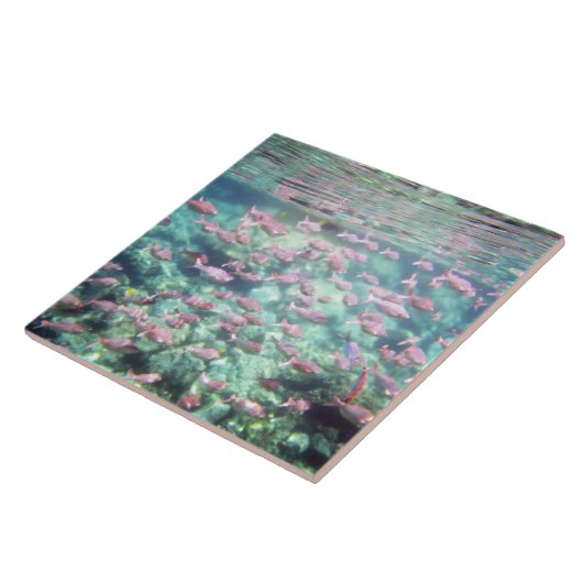  tropische viskeramische tegel tegeltje (Zijkant)