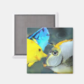 Tropische vismagneten magneet (Voorkant / Achterkant)