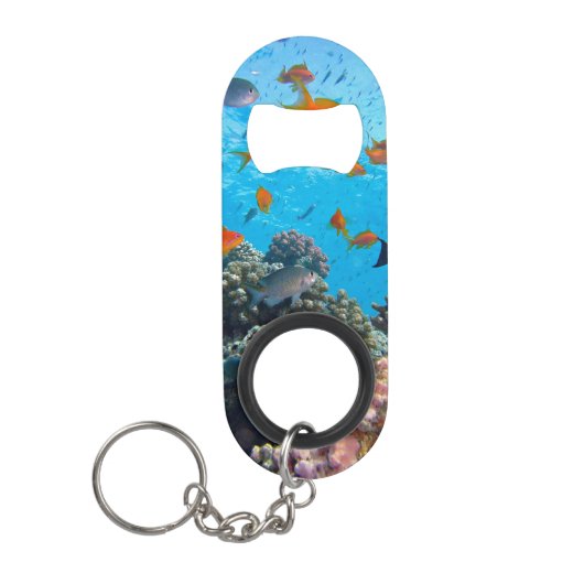 Tropische visscène onder water mini flessenopener (Voorkant)