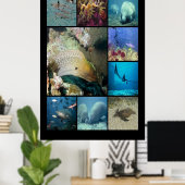 Tropische vissen Aquatisch leven Poster (Thuiskantoor)