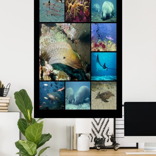 Tropische vissen Aquatisch leven Poster (Thuiskantoor)