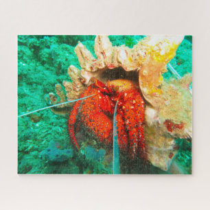 Tropische Vissen Legpuzzel