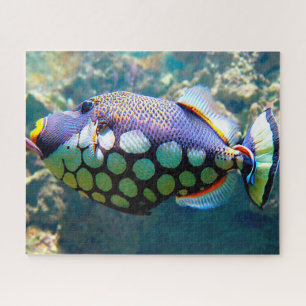 Tropische Vissen Legpuzzel