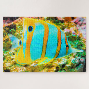 Tropische Vissen Legpuzzel