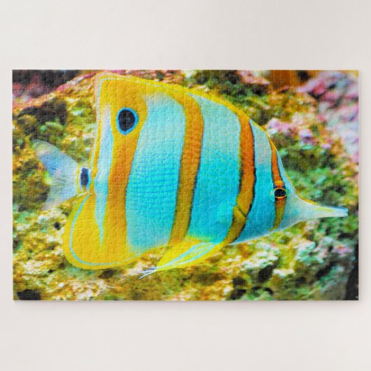 Tropische Vissen Legpuzzel (Horizontaal)