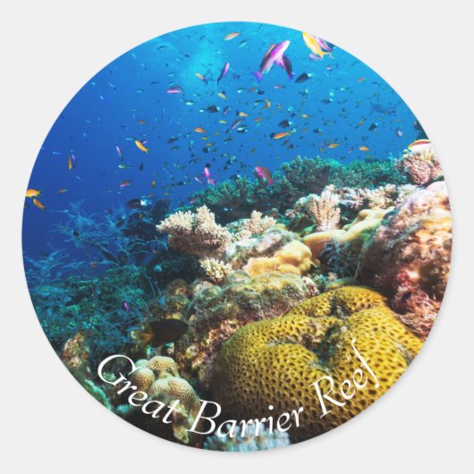 Tropische vissen op het Great Barrier Reef Ronde Sticker (Voorkant)
