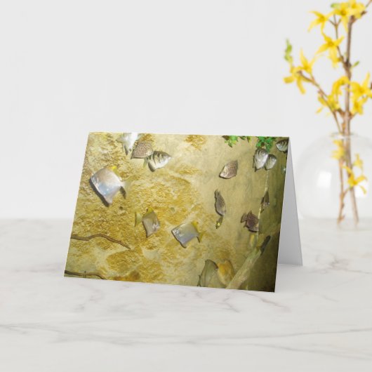 "Tropische Vissen" Wenskaart voor een spoedig hers Kaart (Gele Bloem)