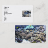 Tropische vissoorten Visitekaartjes (Voorkant / Achterkant)