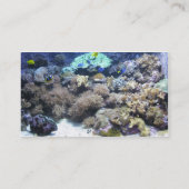 Tropische vissoorten Visitekaartjes (Achterkant)