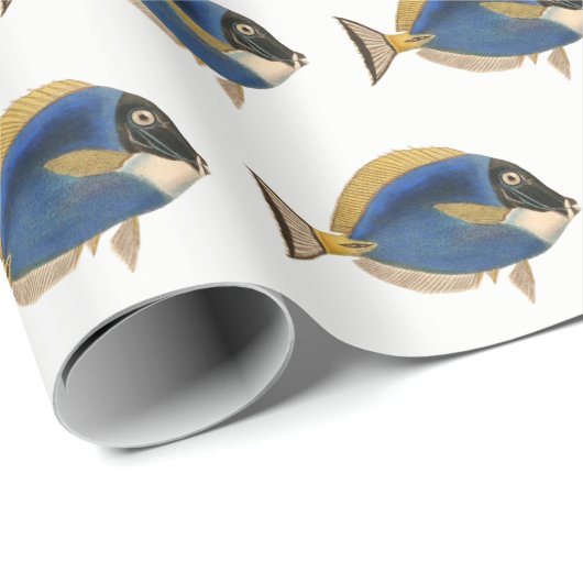  Tropische vistekening Blauwe Goudweefselpap Cadeaupapier (Rol Hoek)