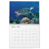 Tropische visvangst Koraal Zee Ref. Kalender (Feb 2026)