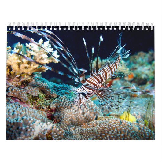 Tropische visvangst Koraal Zee Ref. Kalender (Hoes)