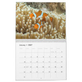 Tropische visvangst Koraal Zee Ref. Kalender (Jan 2027)