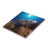 Tropische visvangst Koraal Zee Ref. Tegeltje (Zijkant)