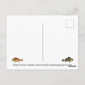 Tropische visvisserij Exotisch Gevist Briefkaart (Achterkant)