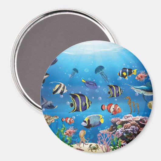 Tropische viszwemmen zeebed magneet (Voorkant / Achterkant)