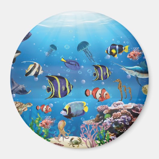 Tropische viszwemmen zeebed magneet (Voorkant)