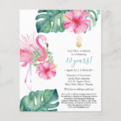 Tropische vliegers flyer (Voorkant)