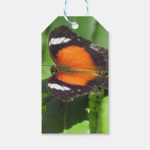 Tropische vlinder cadeaulabel