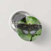 tropische vlinder en bloemen Button (Voorkant /achterkant)