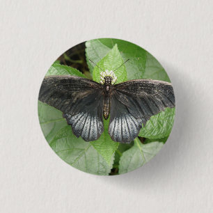  tropische vlinder en bloemen Button